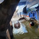 하마전농장 | 아라마루아쿠아리움 방문기