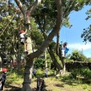 표선초등학교 병설유치원 이미지