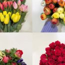 영남화훼농협 이미지