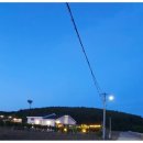 제주키즈풀빌라 나무와 아이 이미지