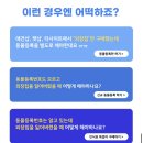 마이딩고 | 강아지 외장칩, 국가대행기관 ‘마이딩고’에서 편하게 구매 및 등록 가능! *내돈내산 후기
