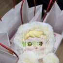 멍멍아 차에타자 | 늦게우리도.. 부산 삼정타워 팝마트방문