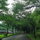 [경북/성주] 대구근교 성주숙소 야외풀장 캠프파이어 바베큐까지 가능한 성주해피하우스펜션 숙박후기