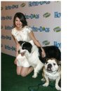 포독스1 이미지