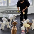 웬만해선 개들을 막을 수 없다 네이버블로그