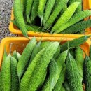 구름다리농장 이미지