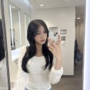 J.K 펫샵 | 다시 돌아온 하노이