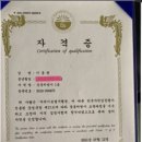 안녕피티 이미지