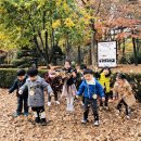 박애어린이집 이미지