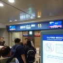 지인여행사 이미지