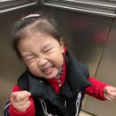 아영수산