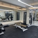 피티데이 이미지