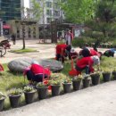 조촌동 주민센터 이미지