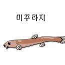 오늘은 추어탕 이미지