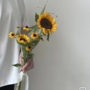 내돈내산💸 천안 마레하우스 / 온디아라운지(구 뷰티진동희) / 웨딩 촬영 후기