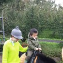 내일어린이집 이미지