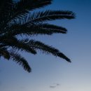 더클리프 이미지