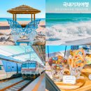 장사역(남정역) | 국내기차여행 영덕 장사해수욕장 오션뷰 카페 등 겨울 바다 여행