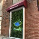 마오카페(MAO CAFE) 이미지