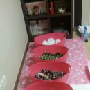 도그핑크 이미지