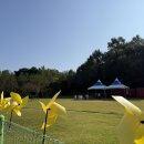 금강사금강유치원 이미지