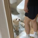 화연상회