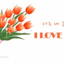 움직이는 튤립 꽃다발 그림 이미지- i love you 이미지