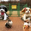 댕댕이 숲 이미지