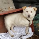 라임모텔 이미지