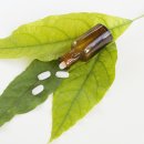 최선약국 이미지