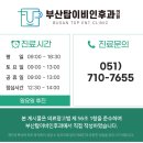 다원II