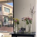 사림동145 이미지