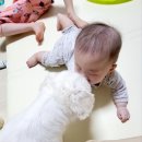 화남(아) 이미지