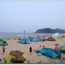 호수와 소나무 이미지