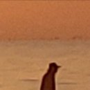 코지펜션 민박 이미지