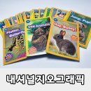 처음 시작하는 영어그림책 | 내셔널지오그래픽 키즈 프리리더 후기｜유아 영어 첫 리딩북으로 딱 좋은 이유