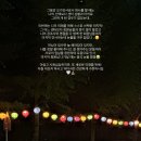 진하요가 수업 이야기 / 2024년 5월
