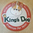 킹스유치원 이미지