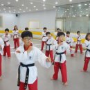 국가대표 드림플러스 태권도 이미지