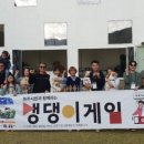 푸른바다독스쿨 이미지