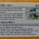 해주초계탕