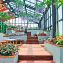 그꽃카페 이미지