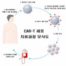 M-car 이미지