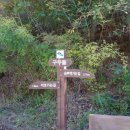 낙동정맥트레일 이미지