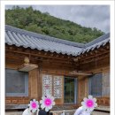 단양의아침 이미지