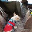 전병준동물병원 이미지