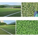 신둔 체육공원 축구장 이미지