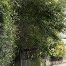 소만공원 이미지