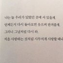 늑대와 여우 이미지