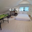 애월볕 이미지